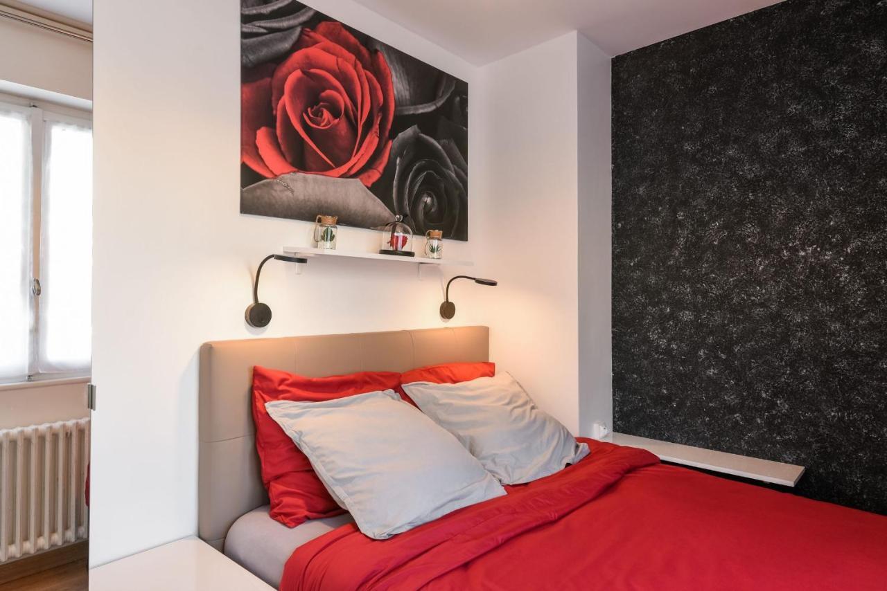 Au Nom De La Rose - Casa Vostra - Caution 800 Eur & Id Requises - Annemasse Exterior foto